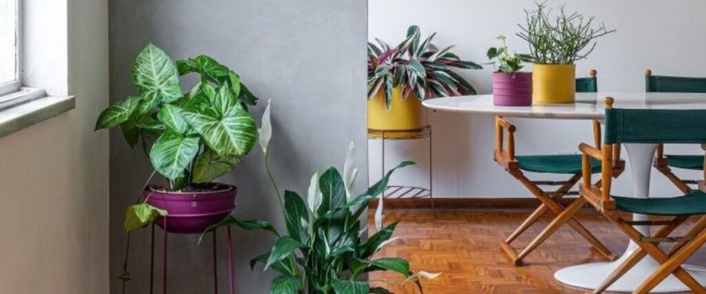 sala de jantar decorada com vasos de plantas em suportes de piso