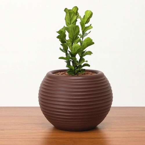 vaso para planta com textura na cor marrom