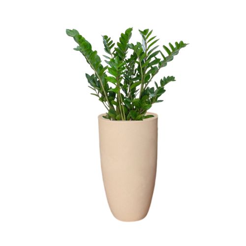 vaso para planta cone na cor bege