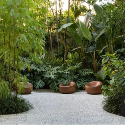 25-04-11 - Plantas ornamentais para jardim 6