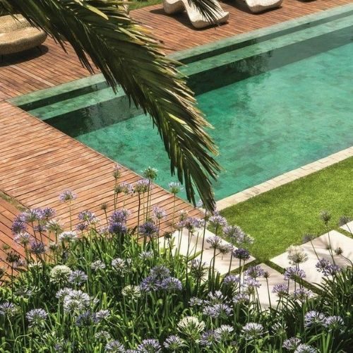 25-04-11 plantas ornamentais para jardim 3