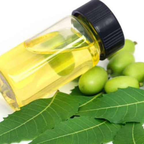 25-04-23 cochonilha 3