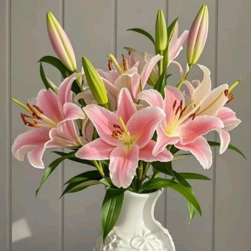 arranjo de flores com Lírio na cor rosa