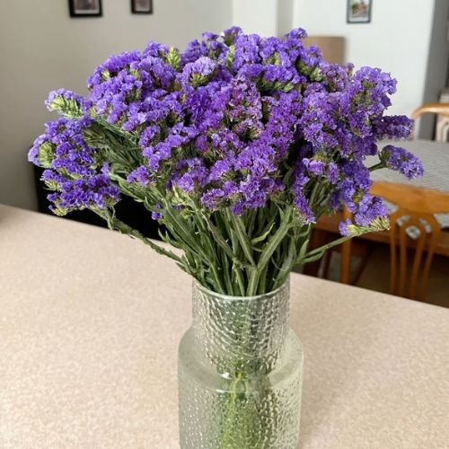 arranjo de flores com Limonium na cor roxa