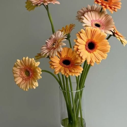 arranjo de flores com Gérberas em tons de laranja