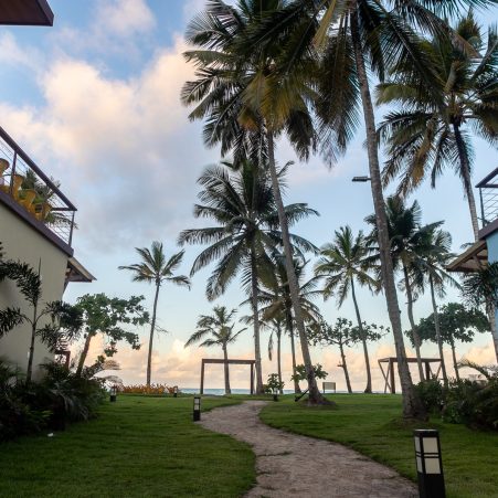 imagem 1 - banner site