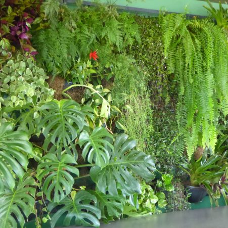 imagem 3 - banner site