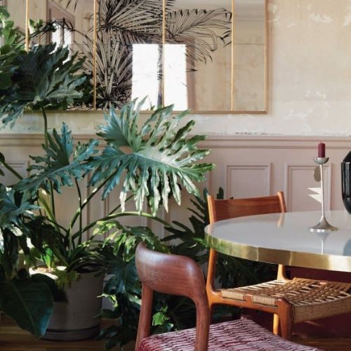 plantas-para-apartamento-guaimbe