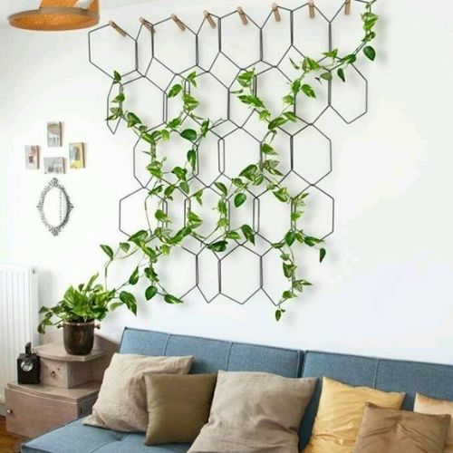plantas-para-apartamento-jiboia