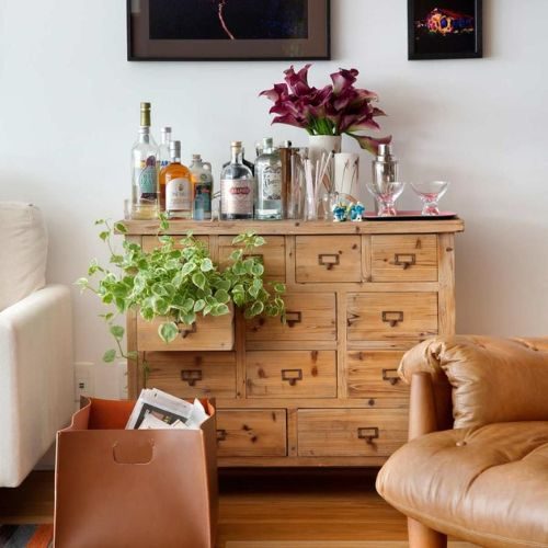 plantas-para-apartamento-pequeno-peperomia